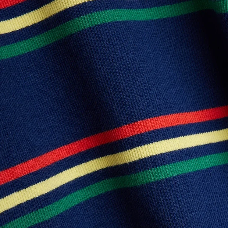 Multi color stripe Dress