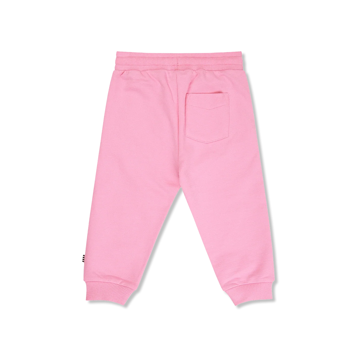 Pavo sweatpants
