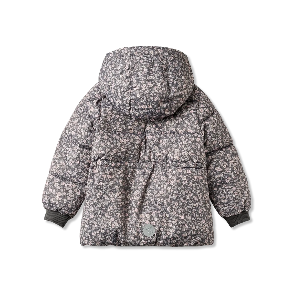 Eli Winter jacket