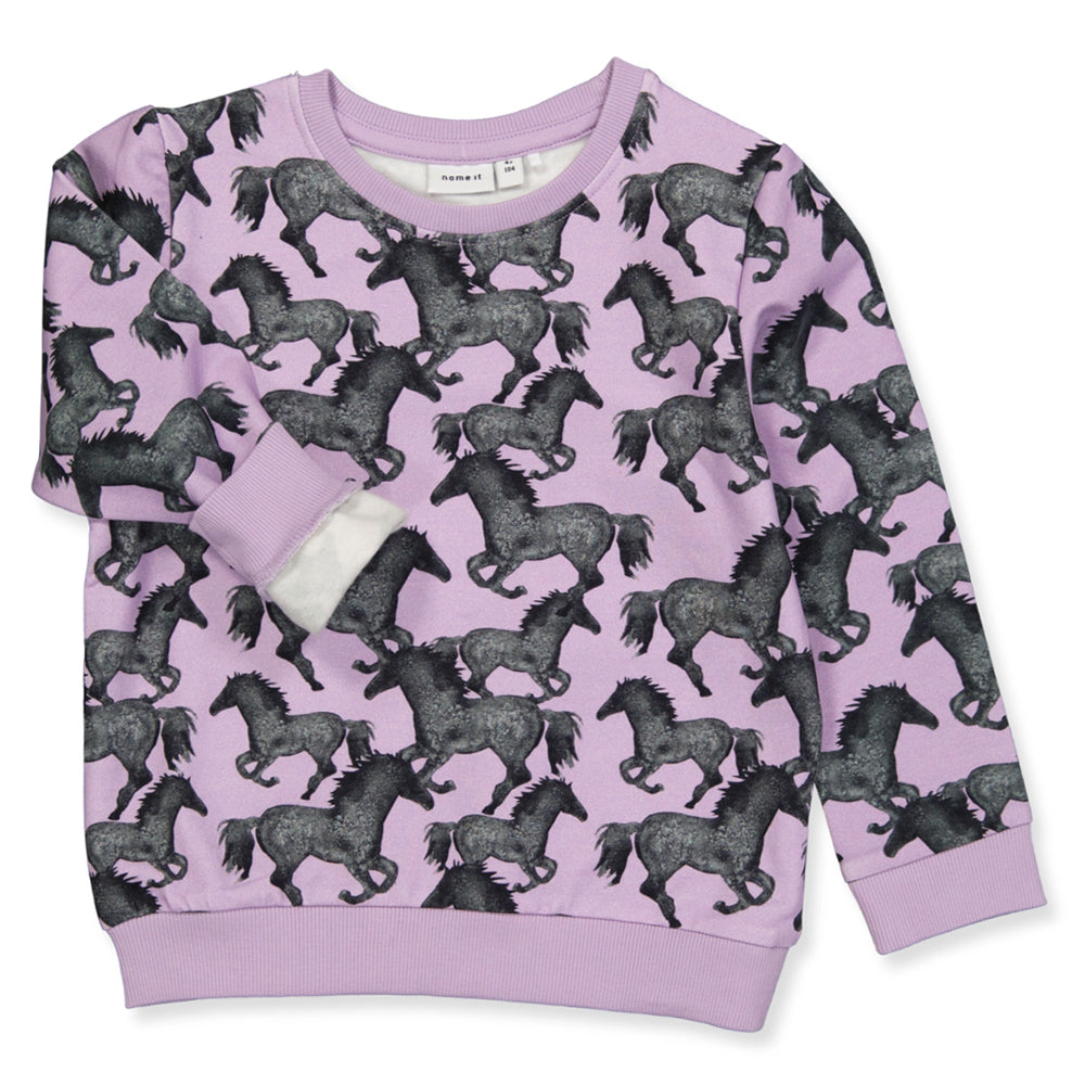 NMFSACHA sweatshirts