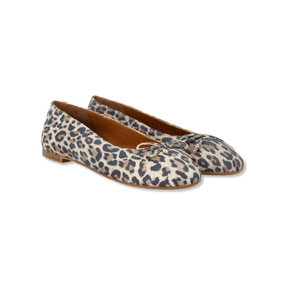 ballerina shoes