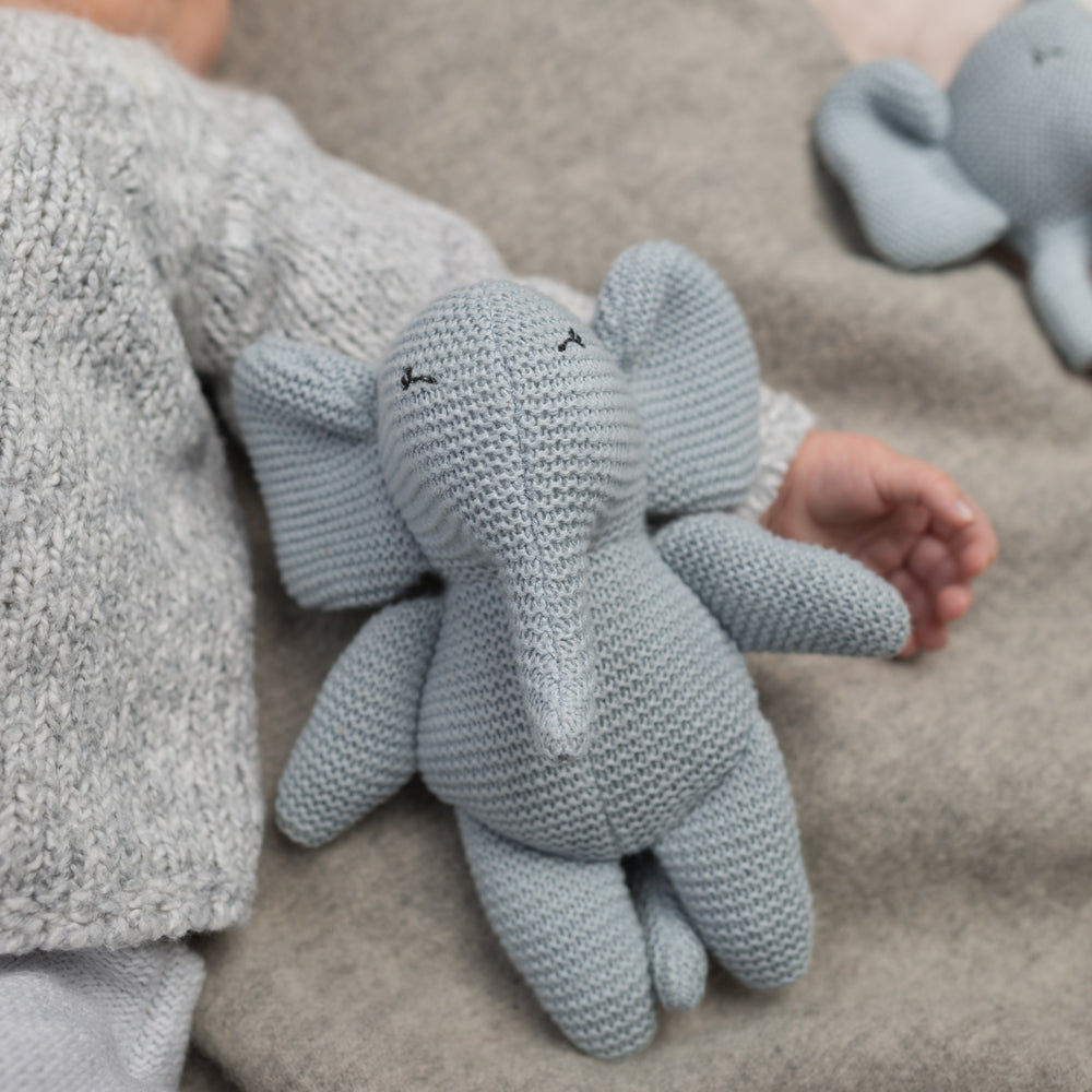 Elvy teddy