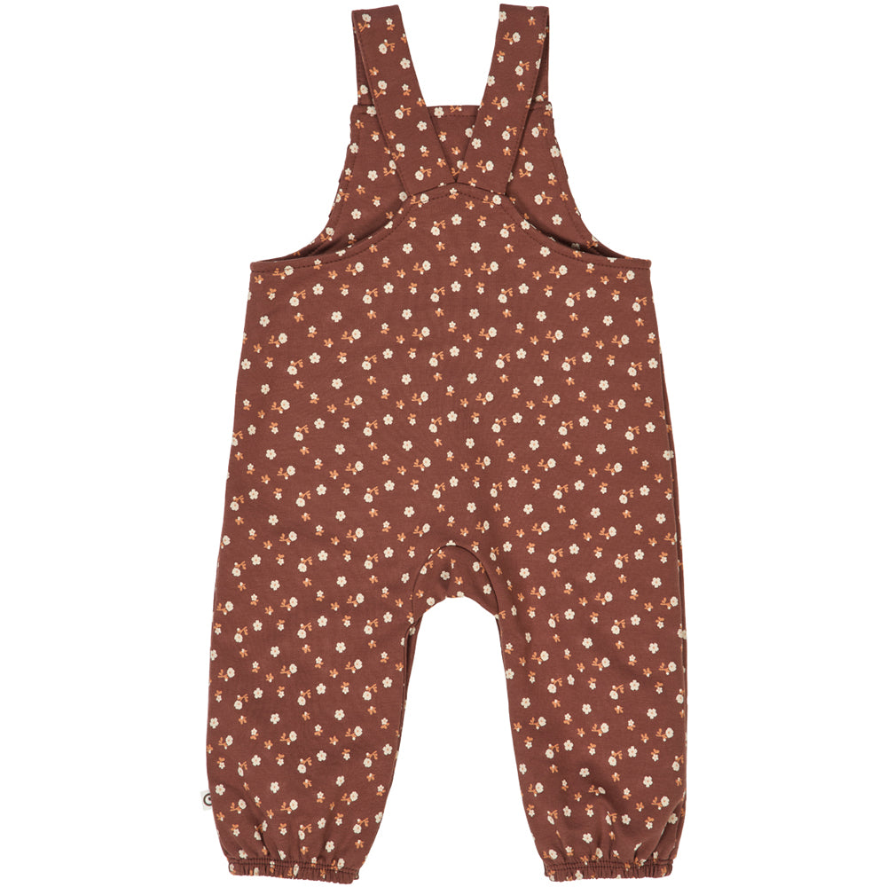 CEDAR pants