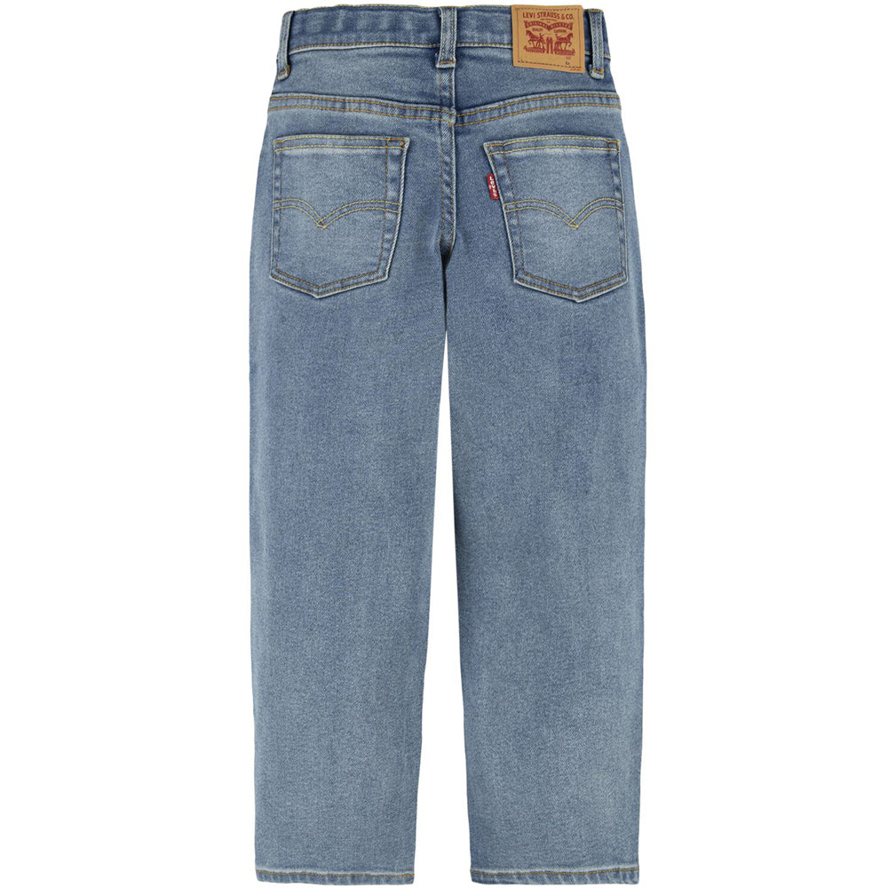 LVB STAT LOOSE jeans
