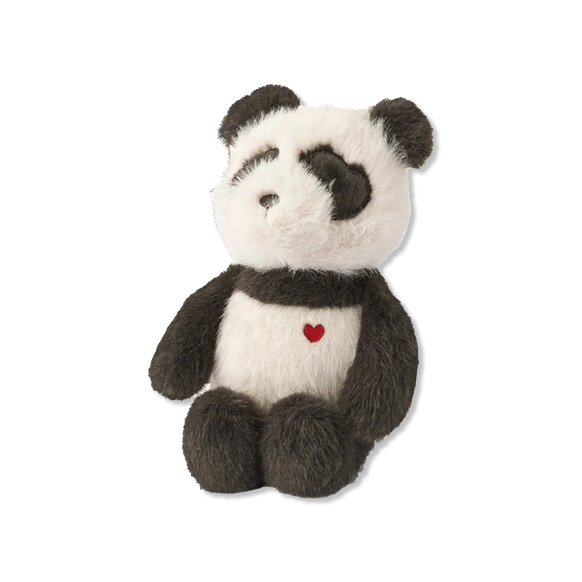 Dania teddy