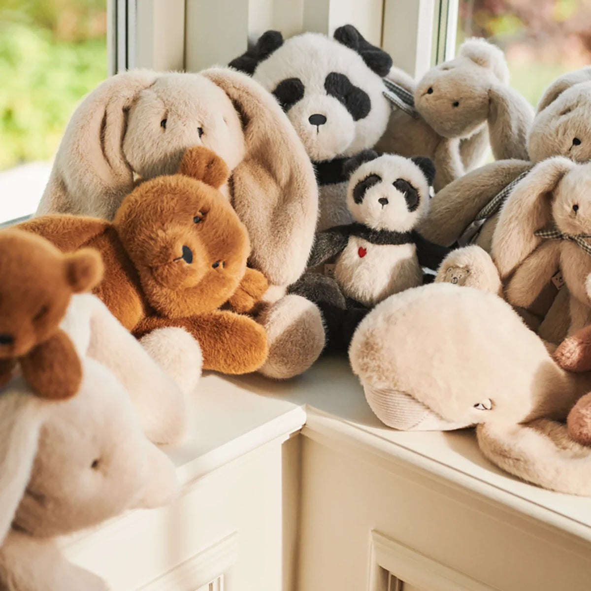 Berto teddy