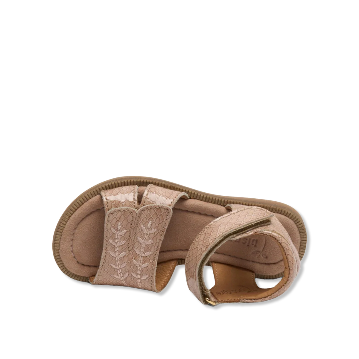 Alexa o sandals